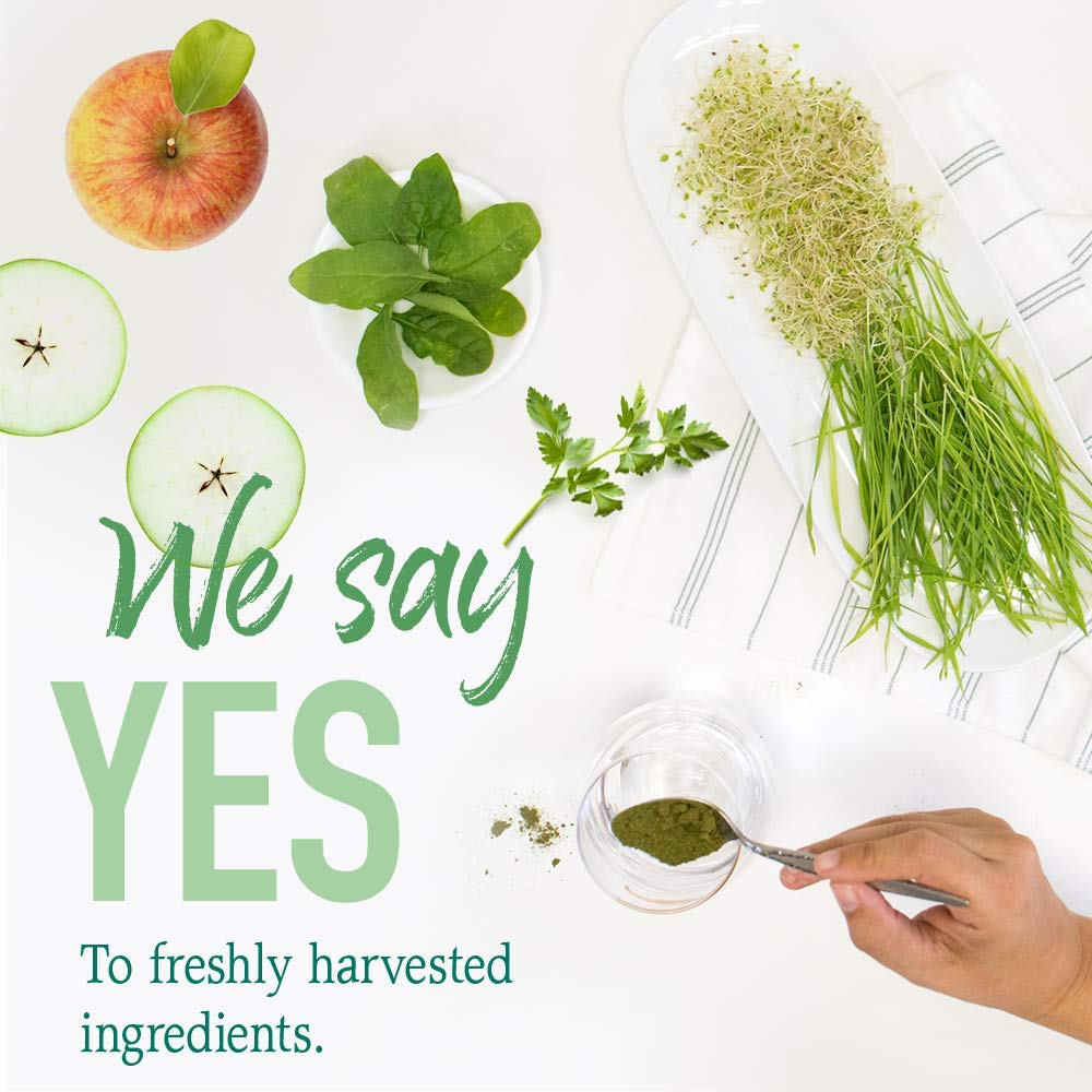 GreenVitality Superfood Powder - Juiced Greens Blend