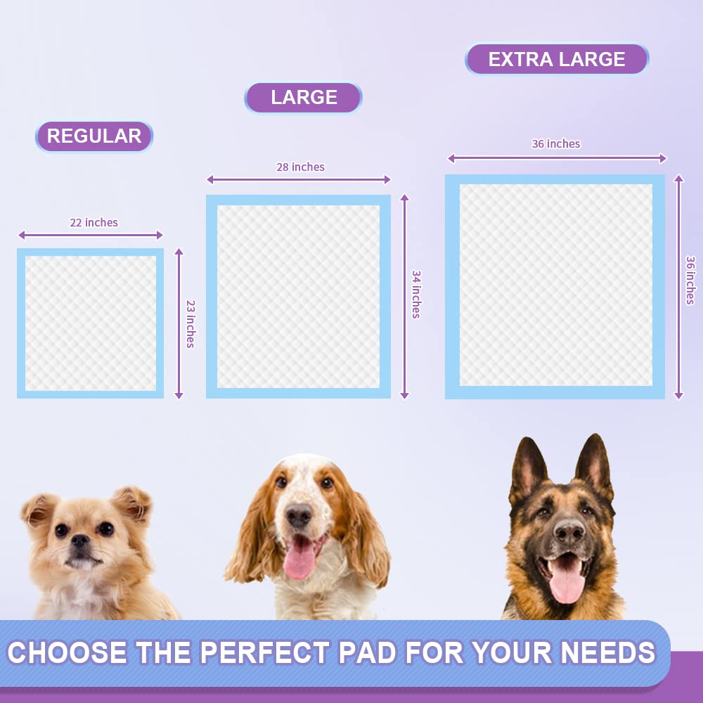 Puppy Pee Pro Pads - 100 Count Super Absorbent Set