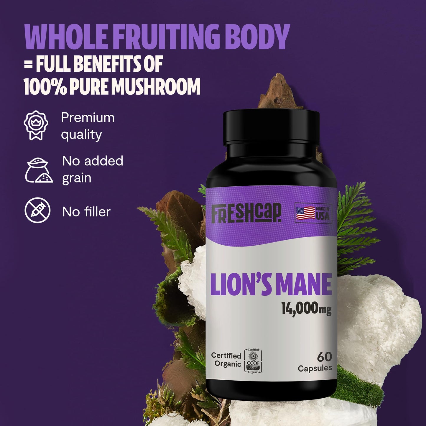 MushroomMind: Ultimate Nootropic Focus Formula