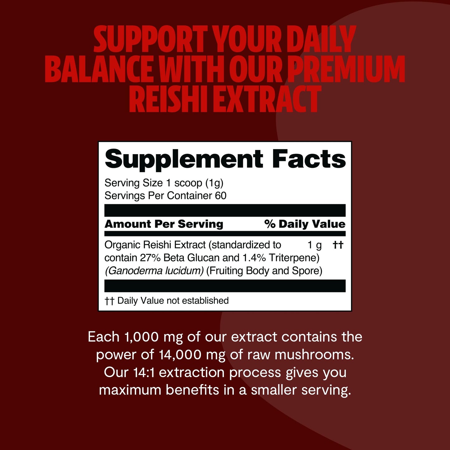 MushroomMind: Ultimate Nootropic Focus Formula