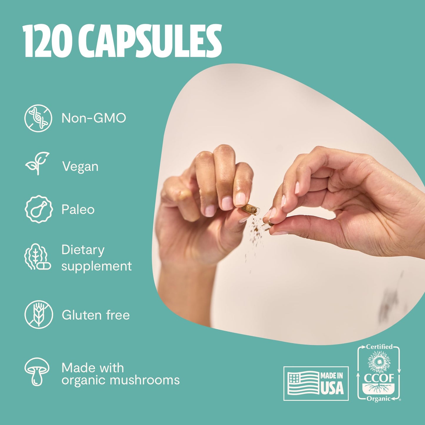 MushroomMind: Ultimate Nootropic Focus Formula