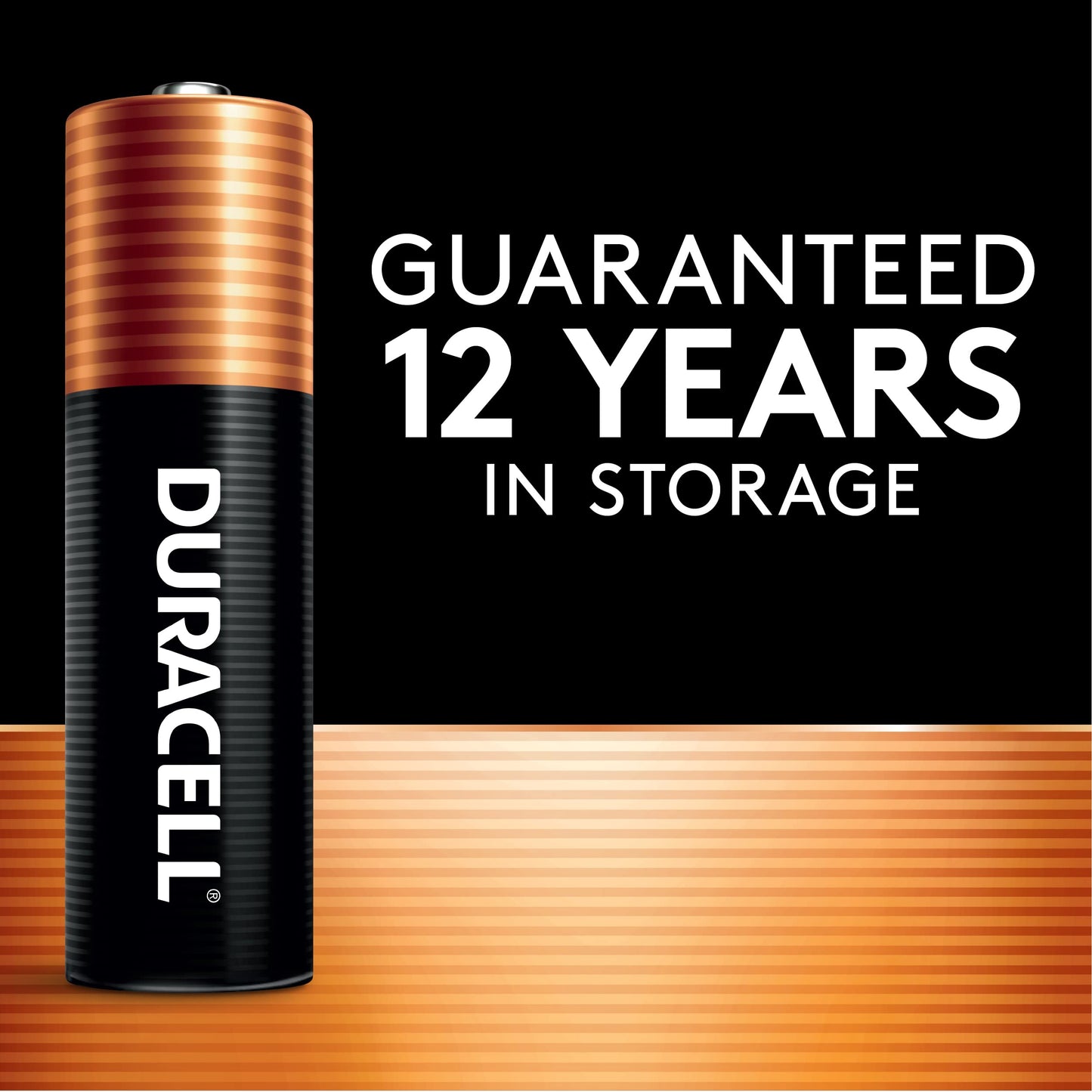 Power Boost AAA Batteries - 24 Pack