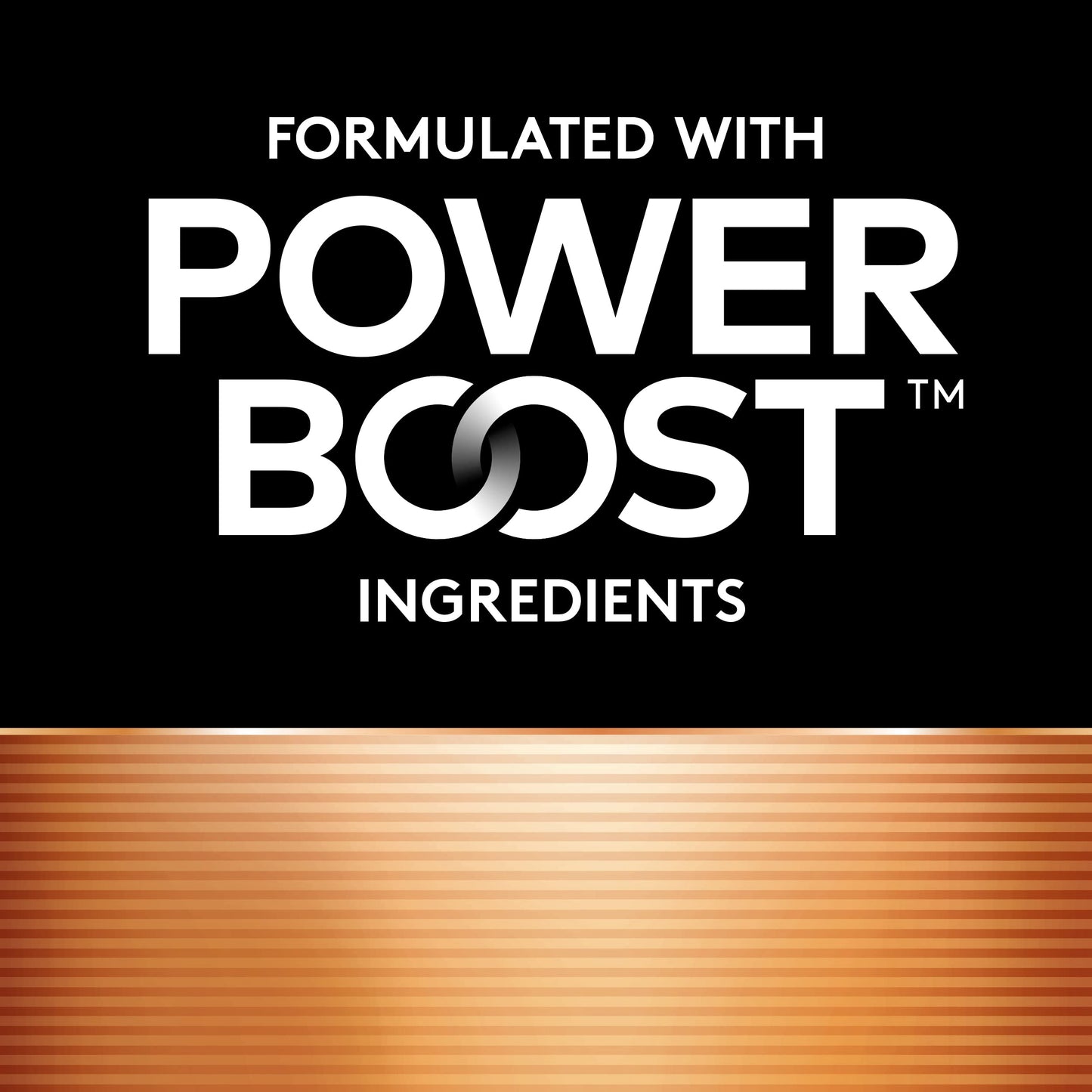 Power Boost AAA Batteries - 24 Pack