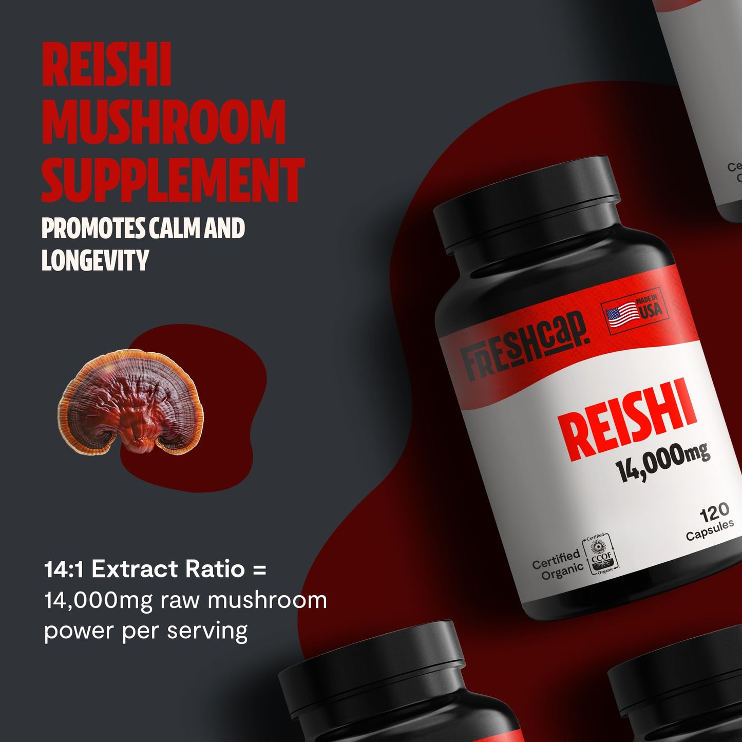MushroomMind: Ultimate Nootropic Focus Formula