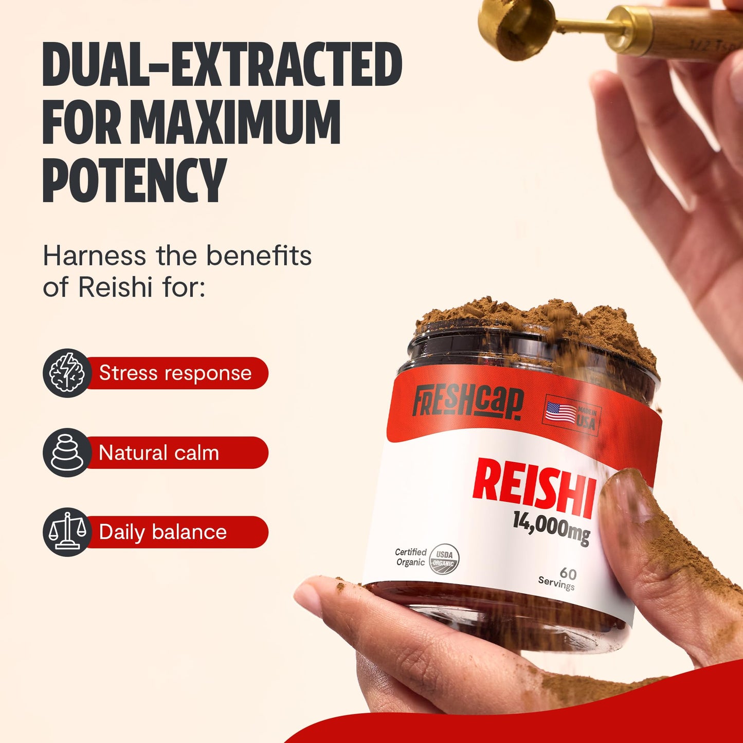 MushroomMind: Ultimate Nootropic Focus Formula