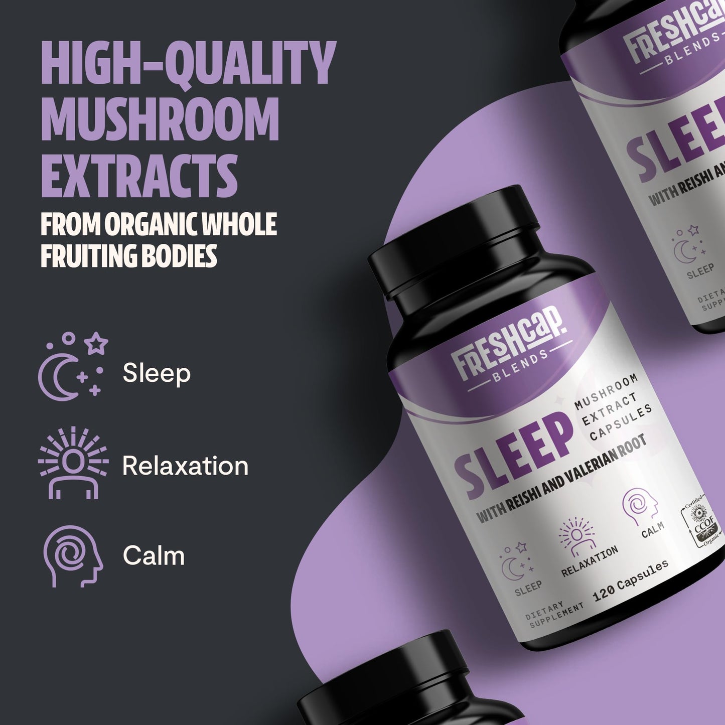 MushroomMind: Ultimate Nootropic Focus Formula