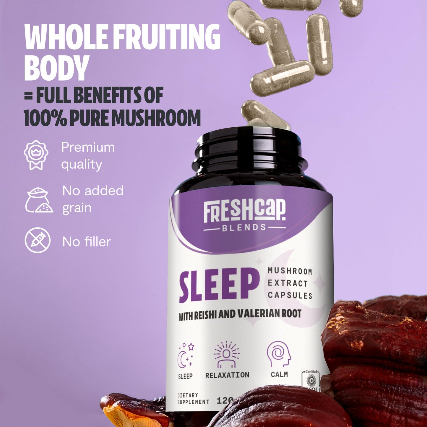 MushroomMind: Ultimate Nootropic Focus Formula