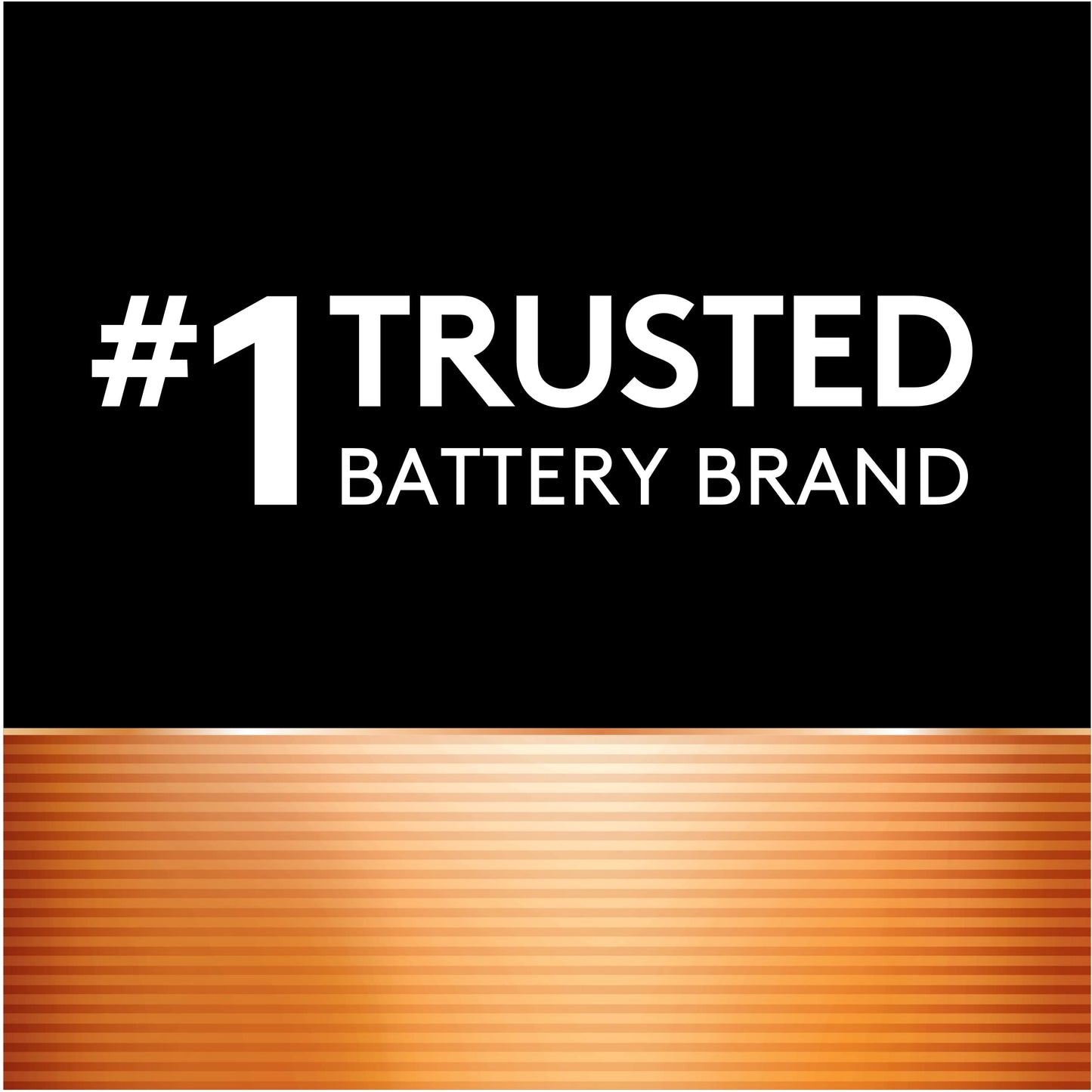 Power Boost AAA Batteries - 24 Pack