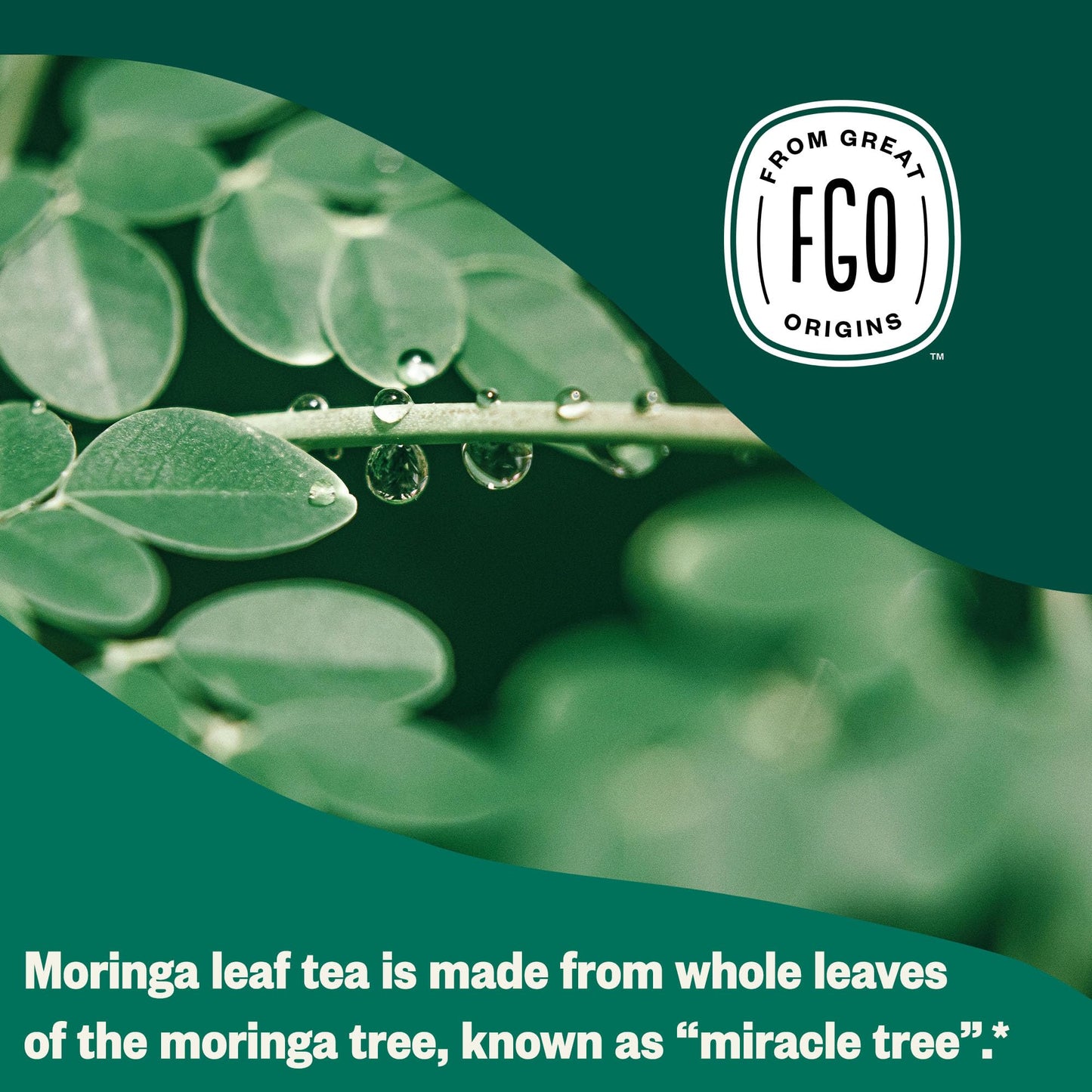 ElderZen Organic Tea - Caffeine-Free Eco Bags