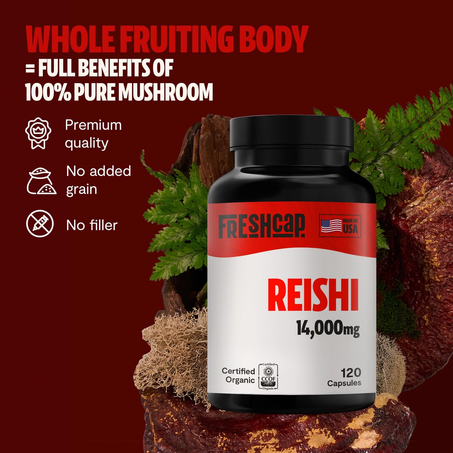 MushroomMind: Ultimate Nootropic Focus Formula