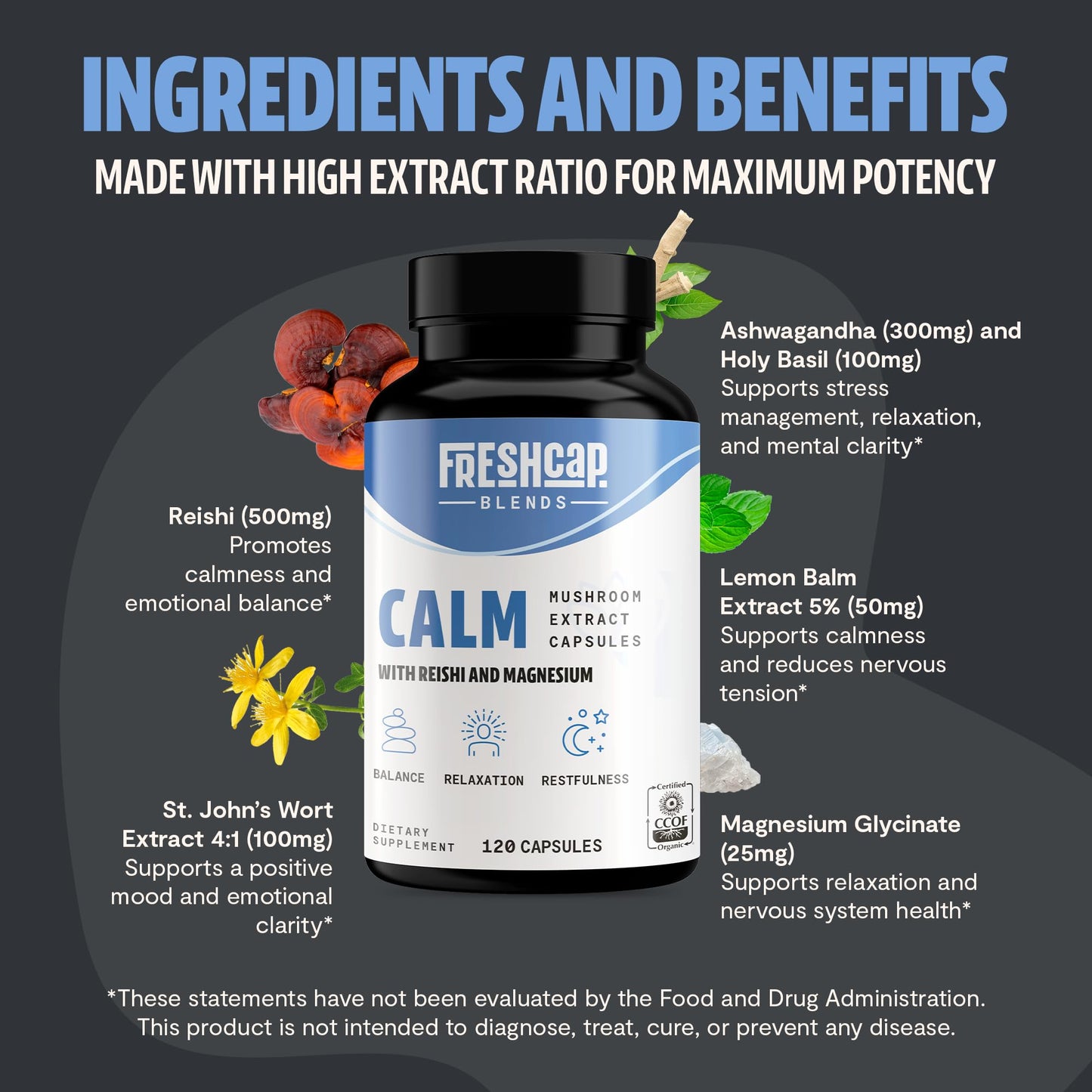 MushroomMind: Ultimate Nootropic Focus Formula