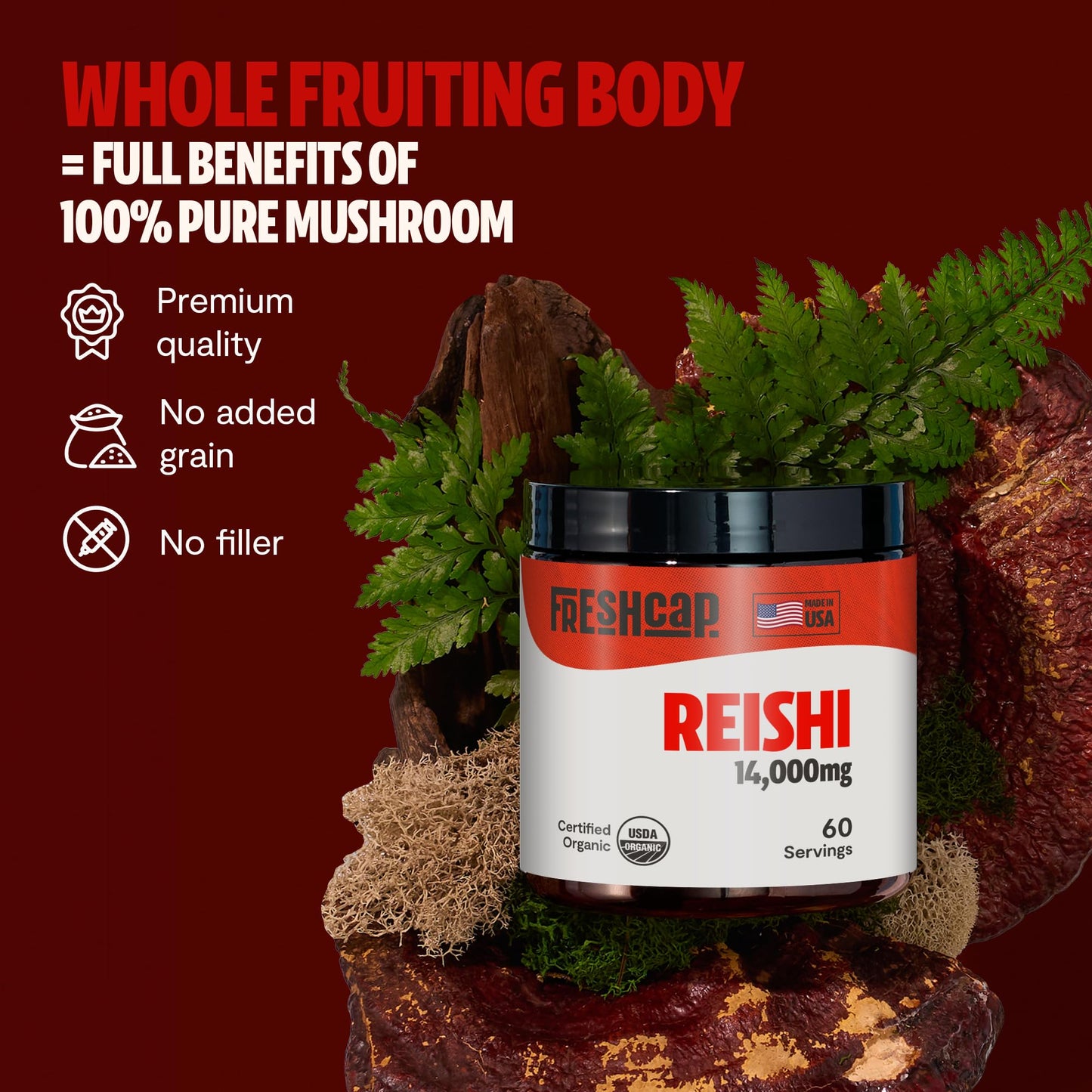 MushroomMind: Ultimate Nootropic Focus Formula