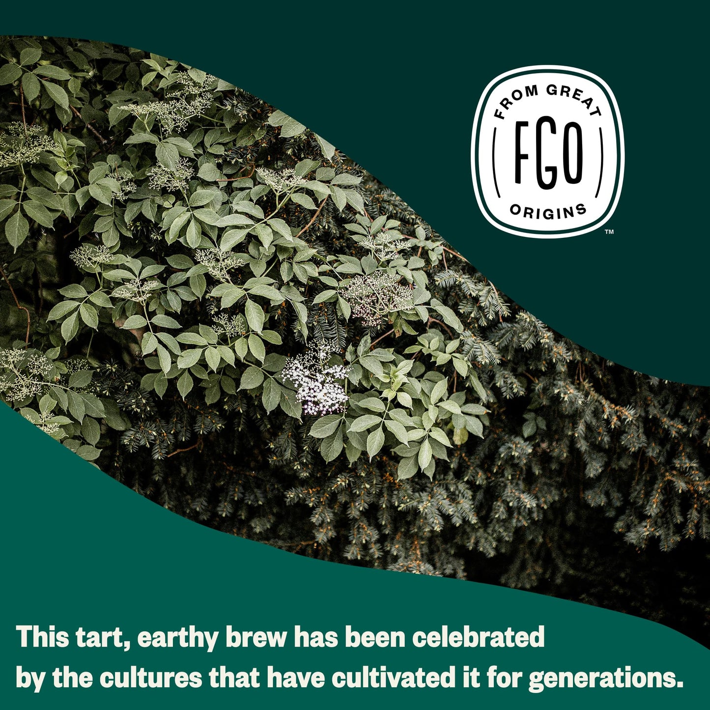 ElderZen Organic Tea - Caffeine-Free Eco Bags