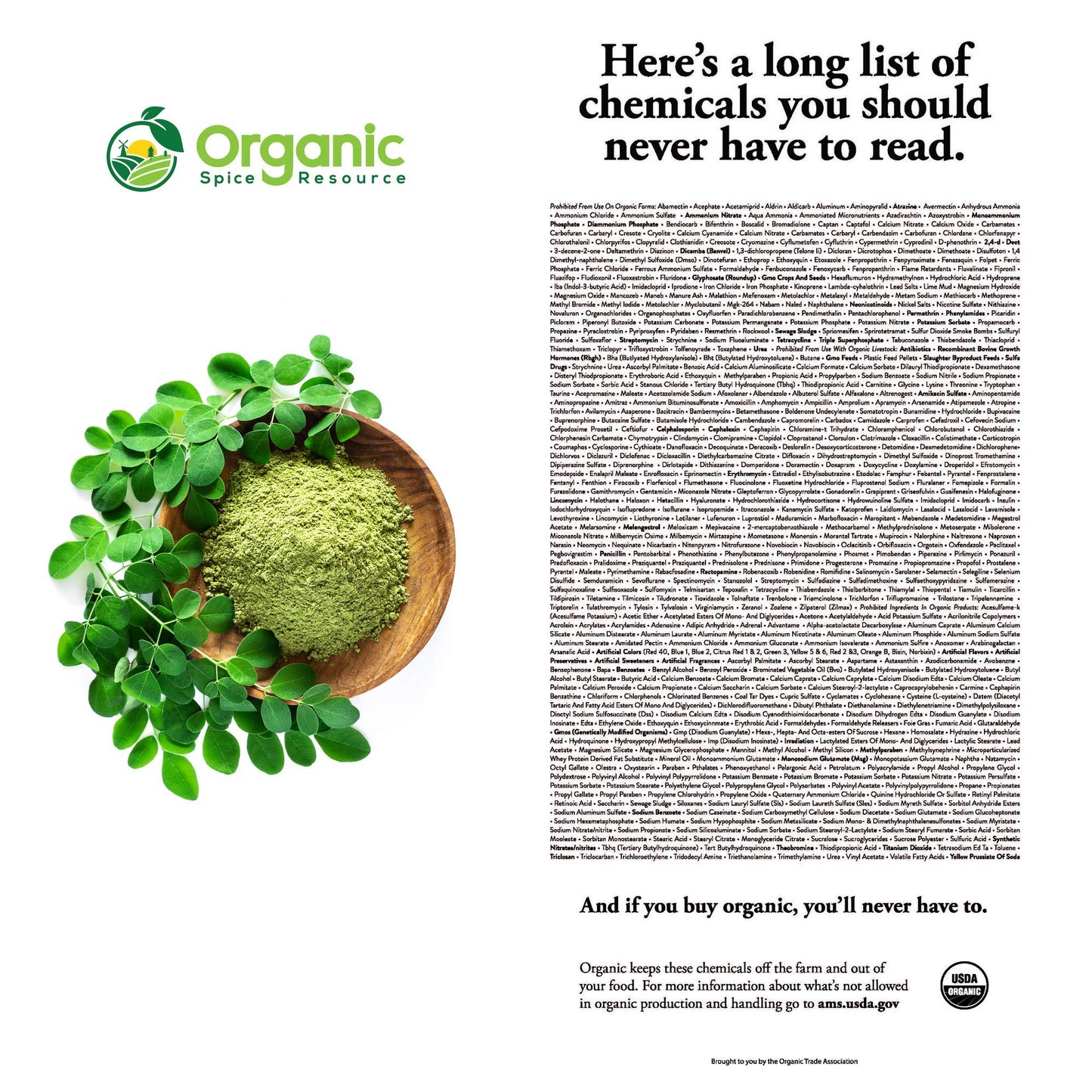 Pure Moringa Bliss - Organic Powder 1.10 lbs