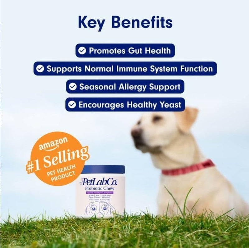Probiotics for Dogs, Support Gut Health, Diarrhea, Digestive Health & Seasonal Allergies - Pork Flavor - 30 Soft Chews - Packaging May Vary - Premium Pet supplements from Visit the Petlab Co. Store - Just $53.99! Shop now at Handbags Specialist Headquarter
