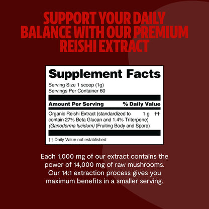 MushroomMind: Ultimate Nootropic Focus Formula