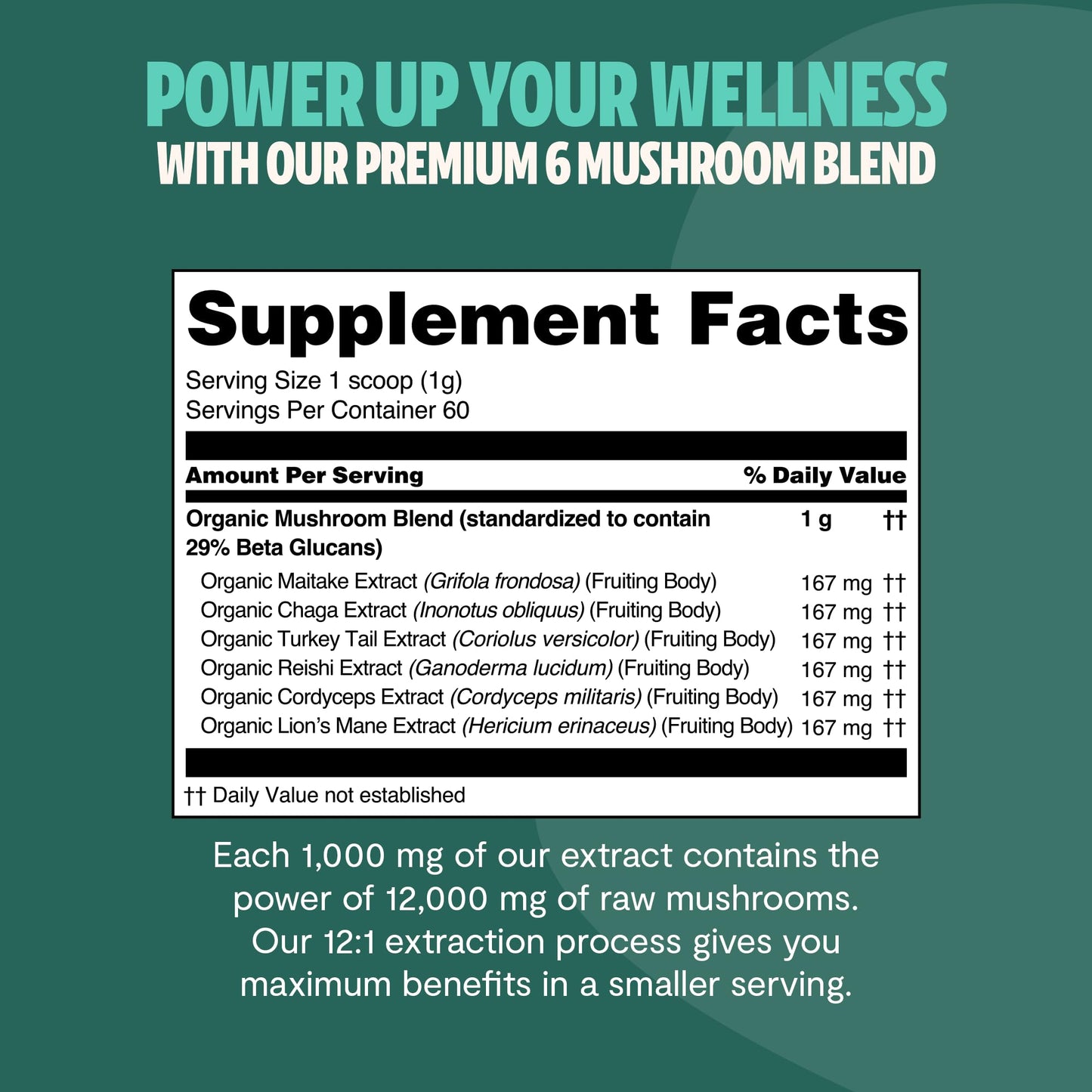 MushroomMind: Ultimate Nootropic Focus Formula