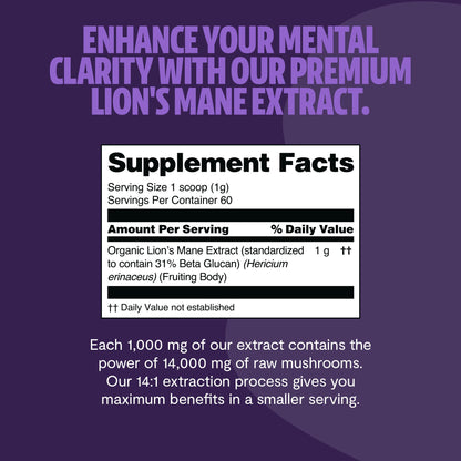 MushroomMind: Ultimate Nootropic Focus Formula