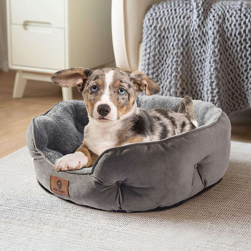 Small Dog Bed for Small Dogs, Cat Beds for Indoor Cats, Pet Bed for Puppy and Kitty, Extra Soft & Machine Washable with Anti-Slip & Water-Resistant Oxford Bottom, Grey, 20 inches - Premium Pets from Brand: Asvin - Just $31.99! Shop now at Handbags Specialist Headquarter