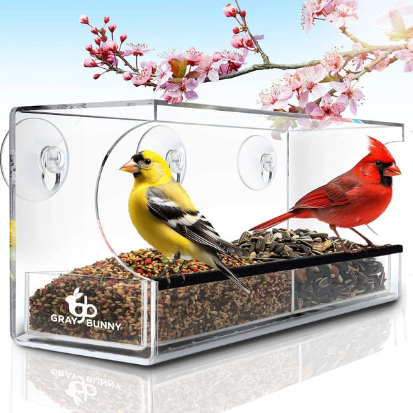 Bird Feeders for Outside - Large Bird House Style Window with Strong Suction Cups with Drain Holes, Removable Tray, Large Seed Capacity and Rubber Perch - Premium Birds from Visit the Gray Bunny Store - Just $36.99! Shop now at Handbags Specialist Headquarter