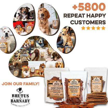 Brutus & Barnaby Sweet Potato Pup Delights