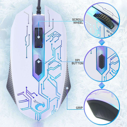 Hornet RX-250: 4-in-1 RGB Gaming Gear Bundle