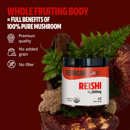 MushroomMind: Ultimate Nootropic Focus Formula