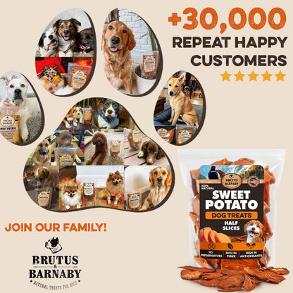 Brutus & Barnaby Sweet Potato Pup Delights