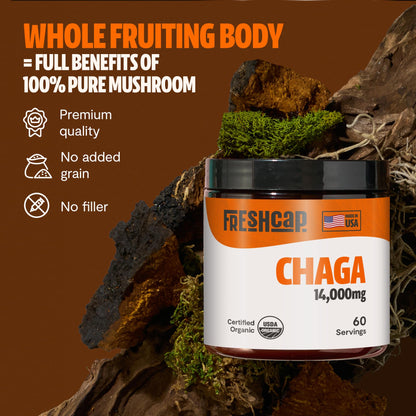 MushroomMind: Ultimate Nootropic Focus Formula