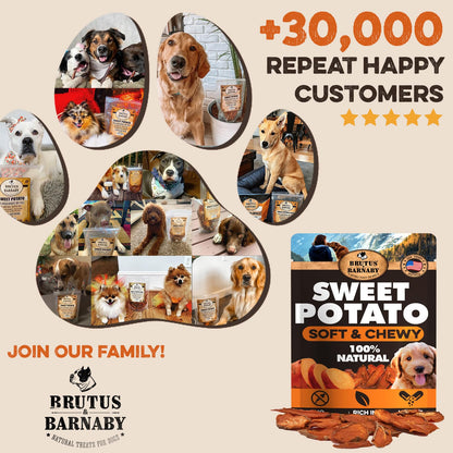 Brutus & Barnaby Sweet Potato Pup Delights