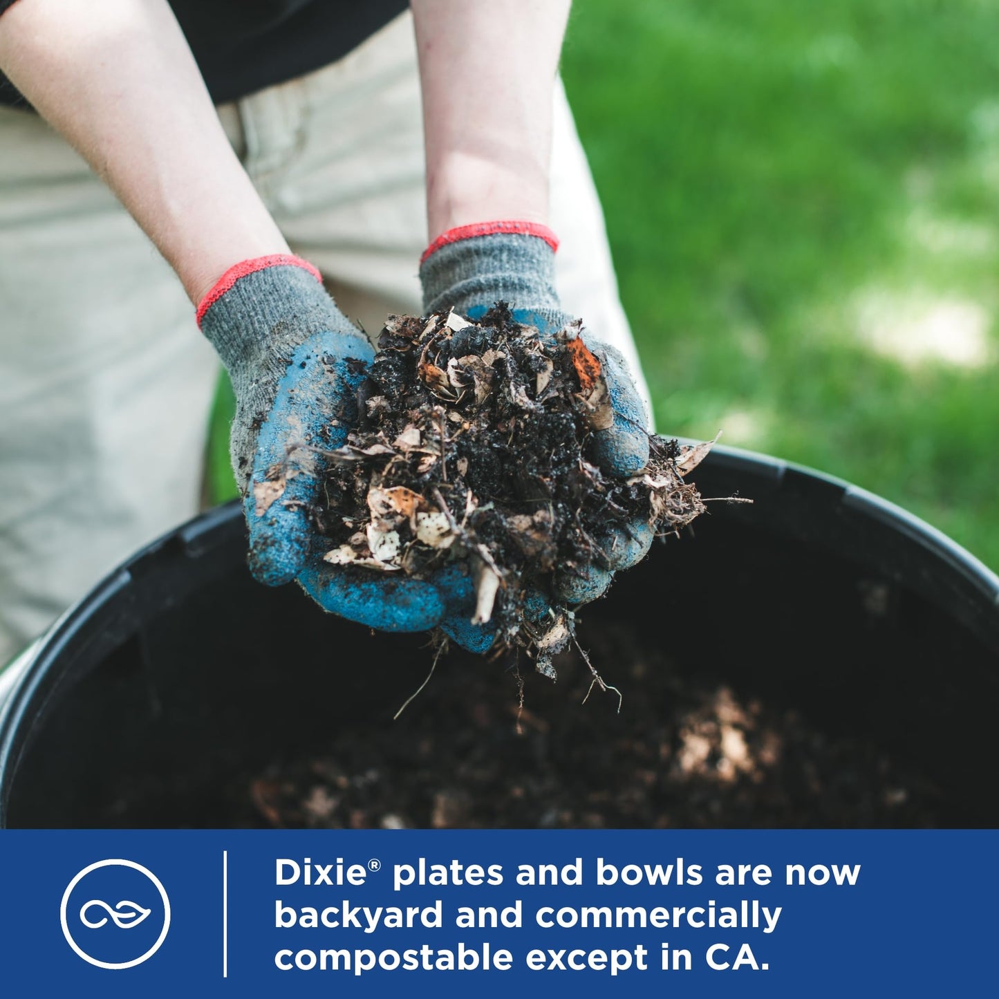 Durable Dixie 8.5 Plates: Strong, Safe & Soak-Proof