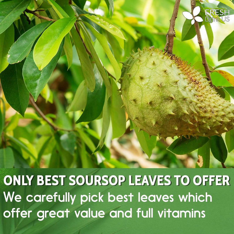 1.6oz Premium Soursop Graviola Dried Leaves (CUT & SIFTED), 100% Natural Soursop Leaves, Pure, Wildcrafted, Graviola, Soursop, Hoja Guanabana, Soursop Loose Leaf Herbal Tea, No Gluten, Vegan - Premium Health Care from Visit the FRESHDRINKUS Store - Just $19.99! Shop now at Handbags Specialist Headquarter