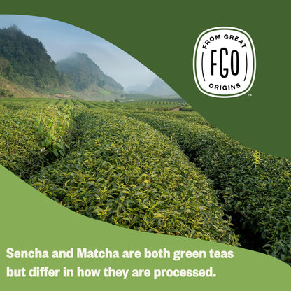 ElderZen Organic Tea - Caffeine-Free Eco Bags