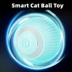 Smart Cat Ball Toys - Premium  from Handbags Specialist Headquarter - Just $12.09! Shop now at Handbags Specialist Headquarter