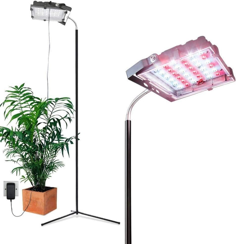 Dommia Floor Lamp LED Grow Lights, 35W Floor Stand Plant Light with Flexible Gooseneck, Full Spectrum Sunlight Plant Growing Lamp for Indoor Plants, Gardening, Hydroponics - Premium light from DOMMIA - Just $163.20! Shop now at Handbags Specialist Headquarter