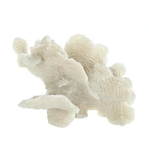 Large White Coral Tabletop Decor - Premium Accent Plus from Accent Plus - Just $43.49! Shop now at Handbags Specialist Headquarter