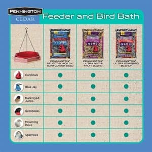 Pennington Cedar 2 in 1 Wild Bird Bath and Wild Bird Feeder, 4 lb. Capacity - Premium Birdfeeders from Pennington - Just $21.99! Shop now at Handbags Specialist Headquarter