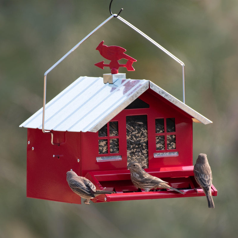 Perky-Pet Red Squirrel-Be-Gone II Country Style Wild Bird Feeder - 8 lb - Premium Birdfeeders from Perky-Pet - Just $53.99! Shop now at Handbags Specialist Headquarter