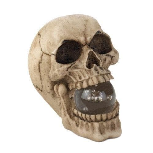 Zingz & Thingz Skull with Light-up Orb - Premium Home Décor from Home Decor - Just $19.84! Shop now at Handbags Specialist Headquarter